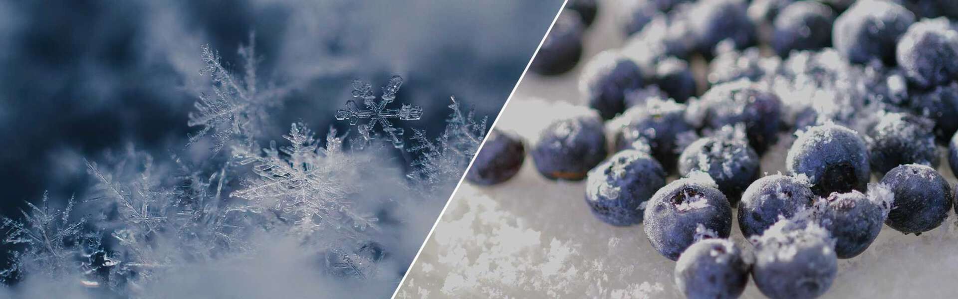 Abbattitore di temperatura