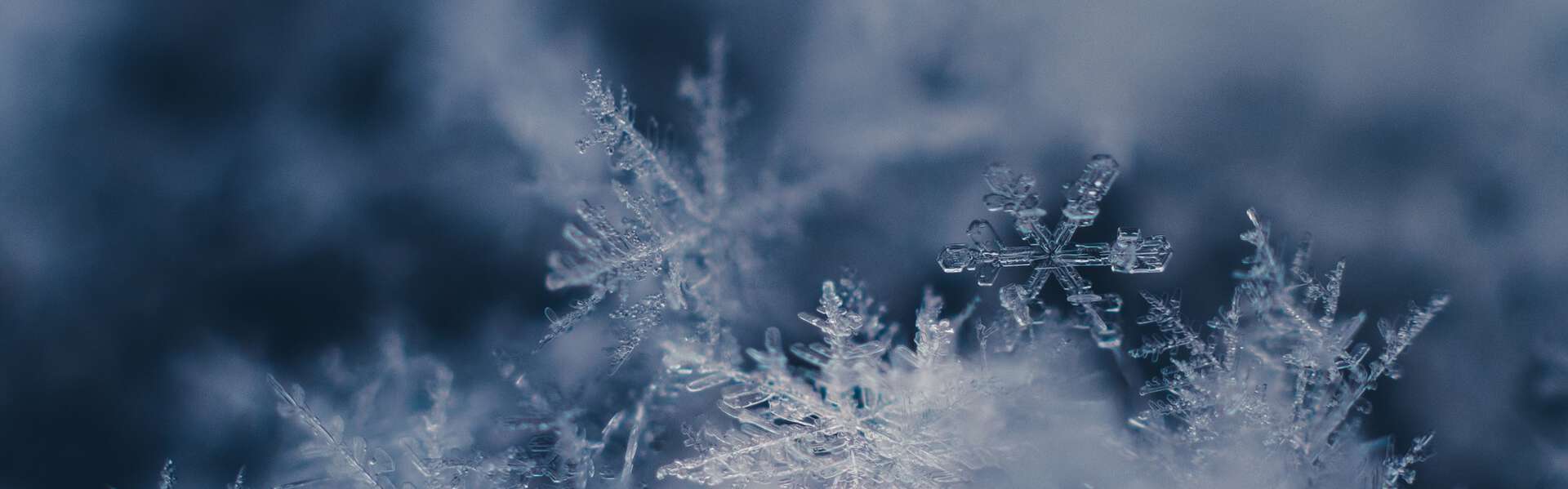 The cool choice for refrigeration projects | Space Engineering