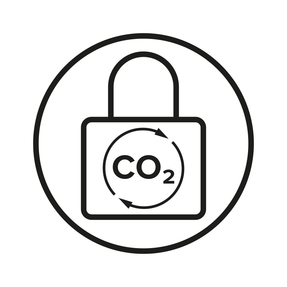 Captura de carbono