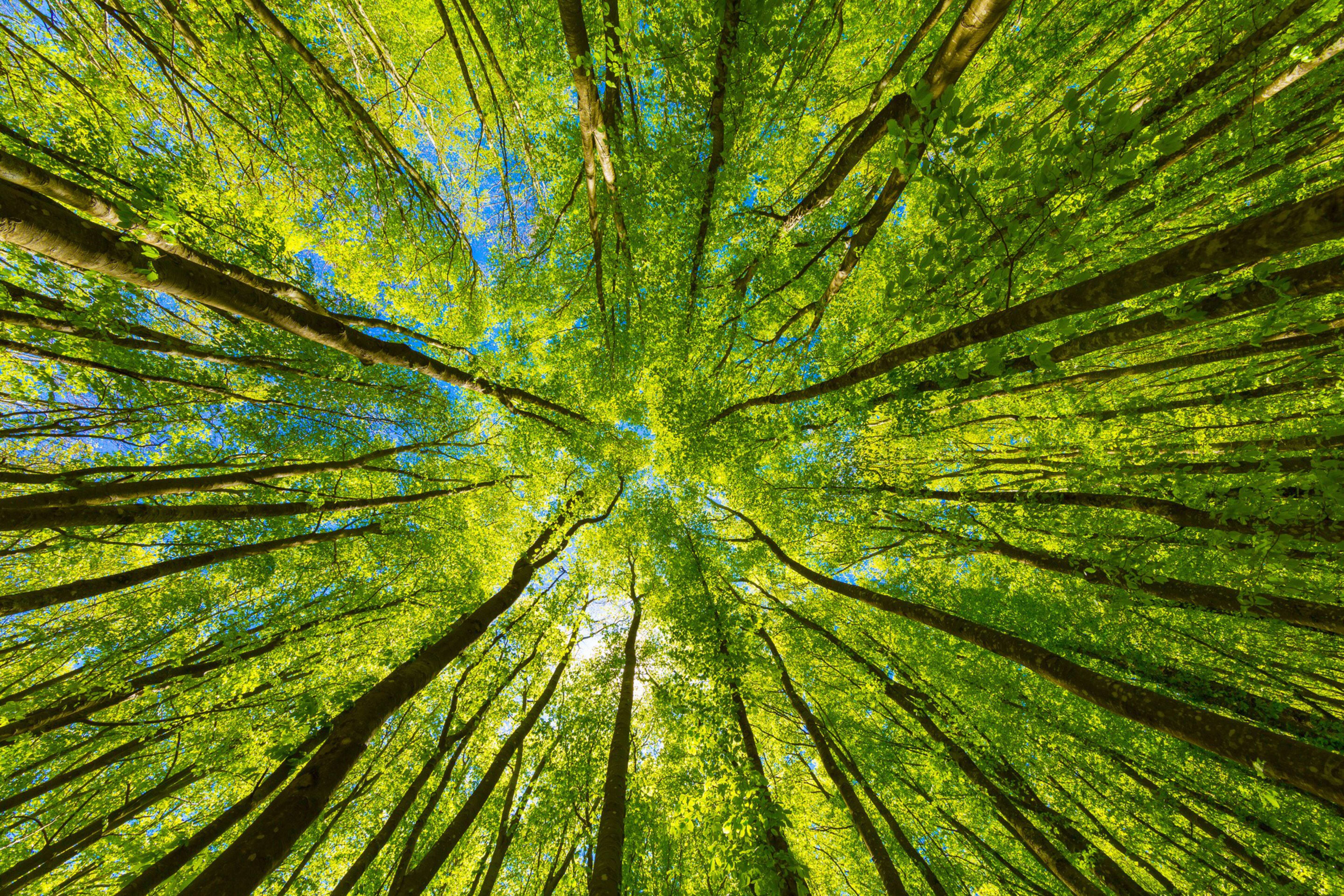 Kelvion secures €11m+ contract supporting carbon capture project in the UK