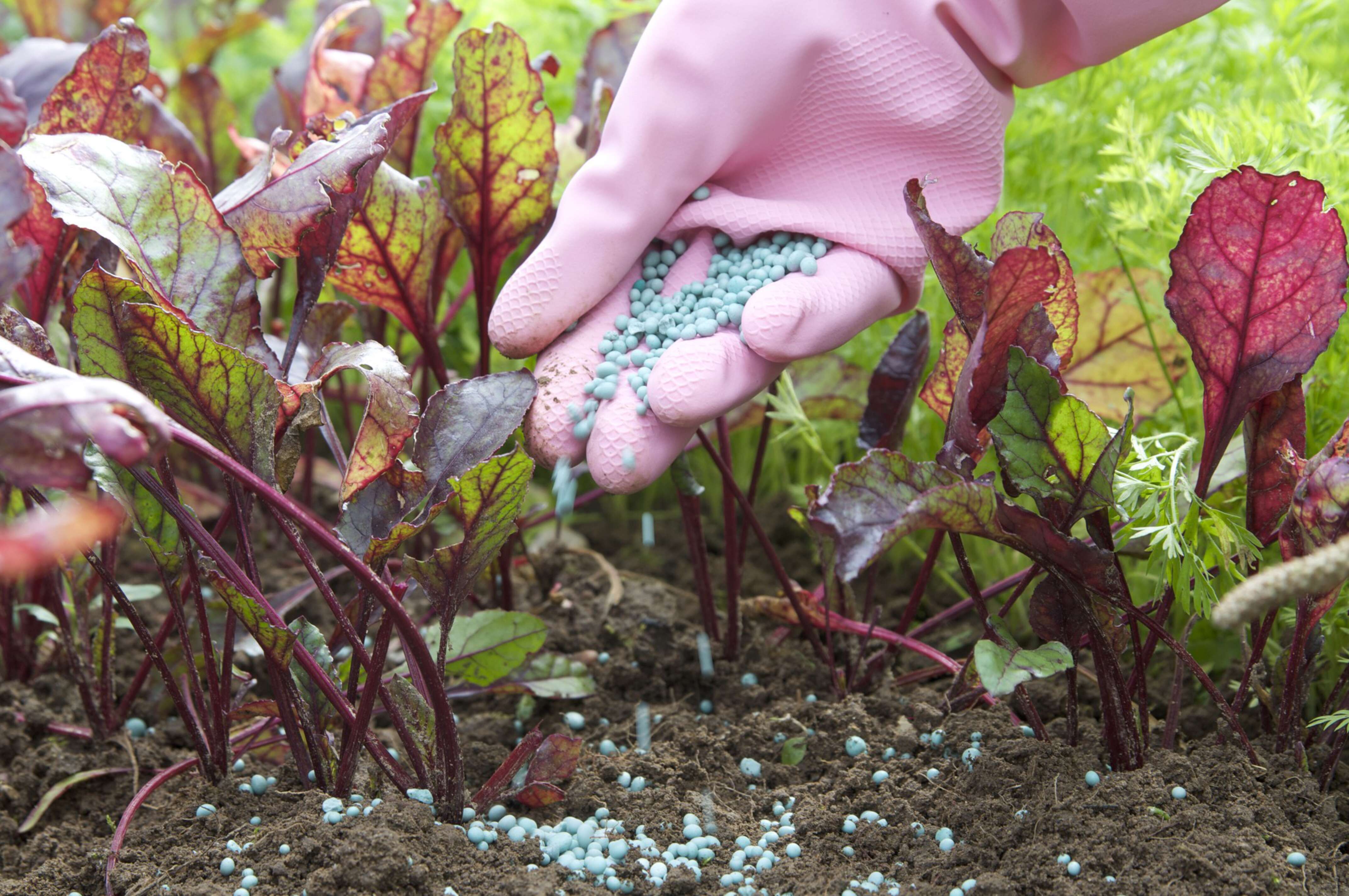 Kelvion secures €1.8m+ contract supporting fertilizer production in BeNeLux