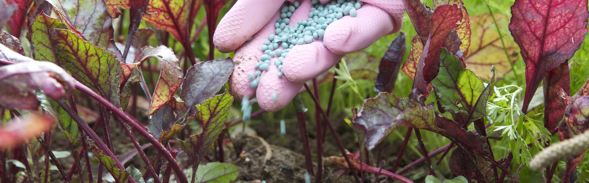 Agrochemikalien