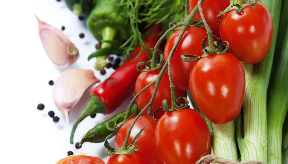 Des solutions de refroidissement sur mesure pour des conditions de stockage optimales
