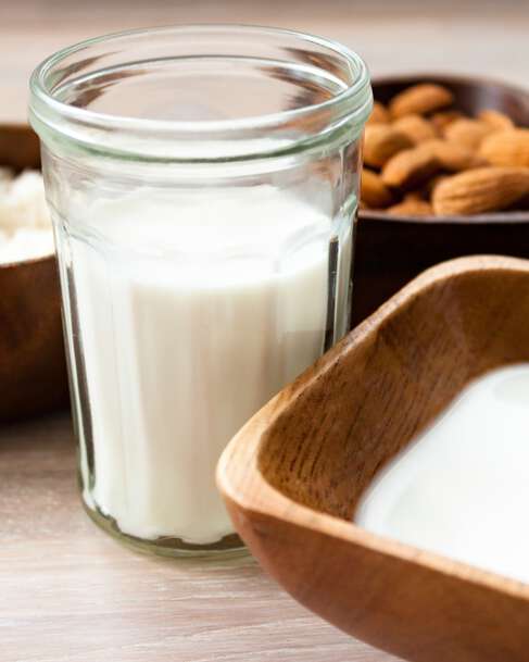 Dairy Plant