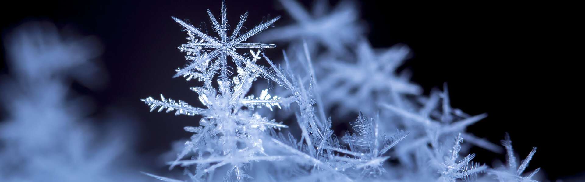 ULTRA-LOW TEMPERATURES