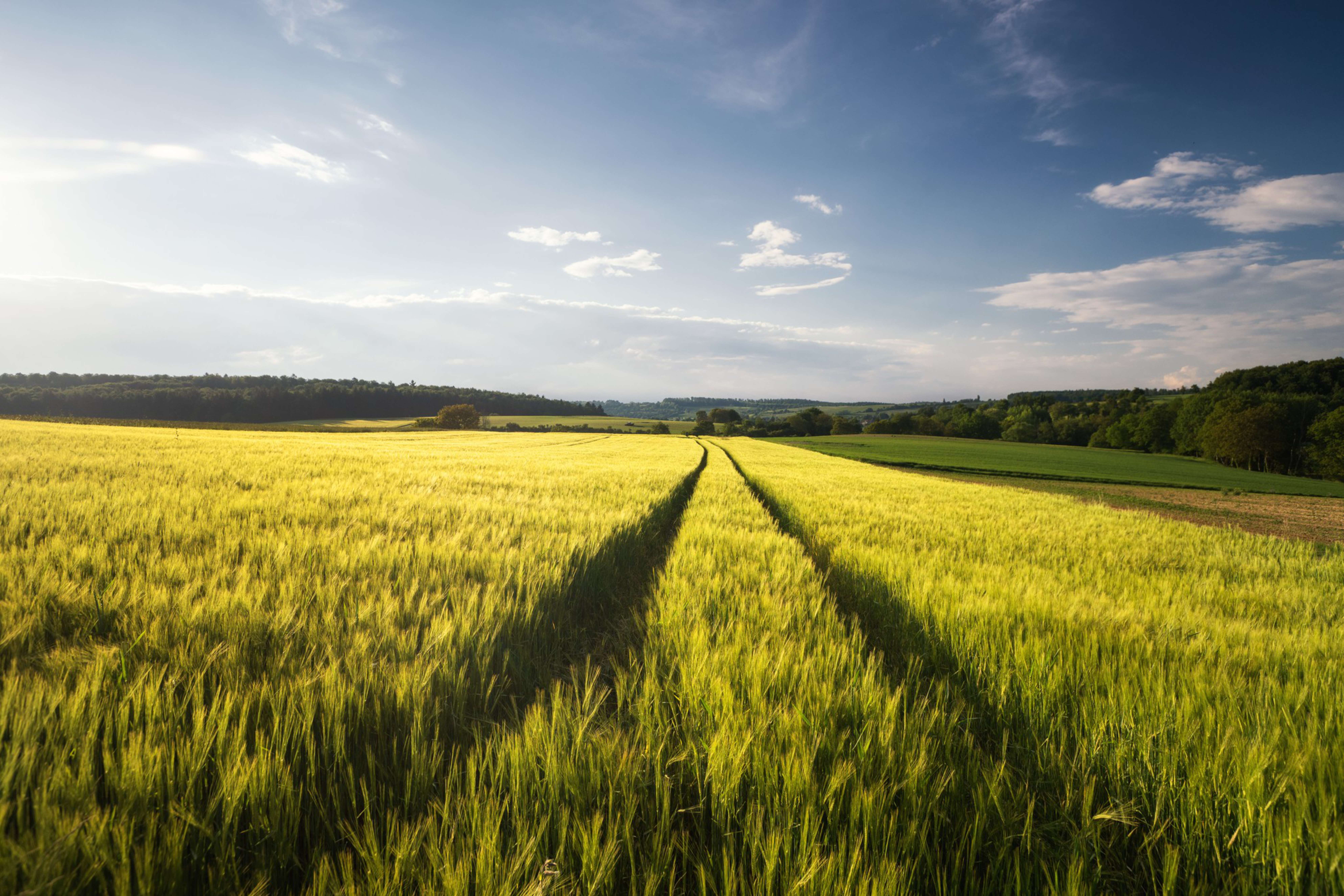 Kelvion Supports Sustainability Goals for Bioethanol Plant Kelvion