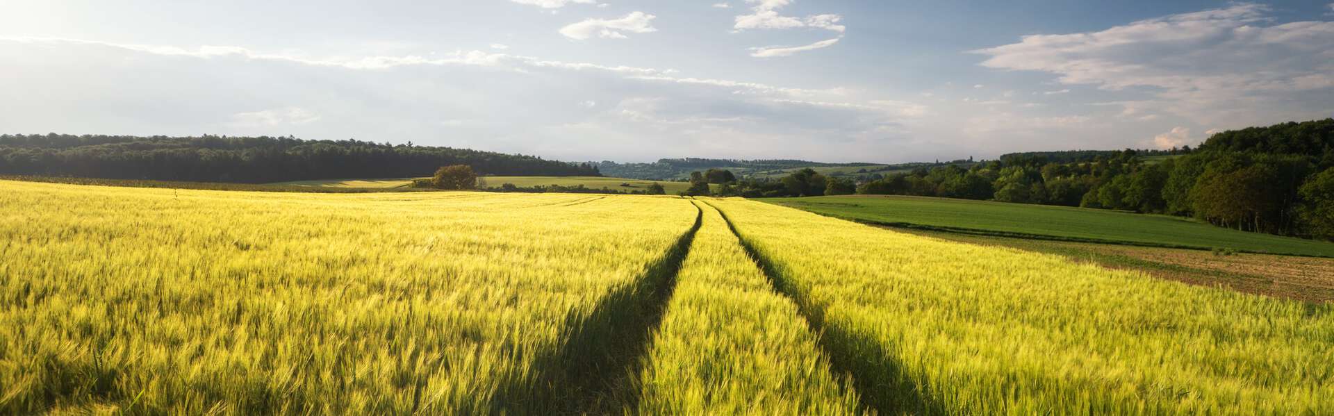 Kelvion Supports Sustainability Goals for Bioethanol Plant