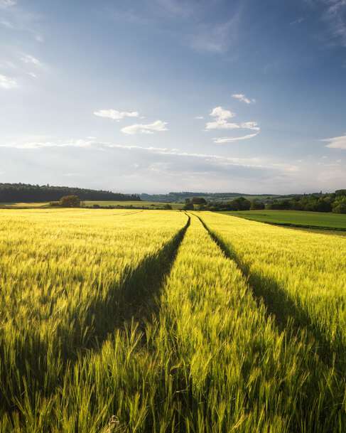 Kelvion Supports Sustainability Goals for Bioethanol Plant