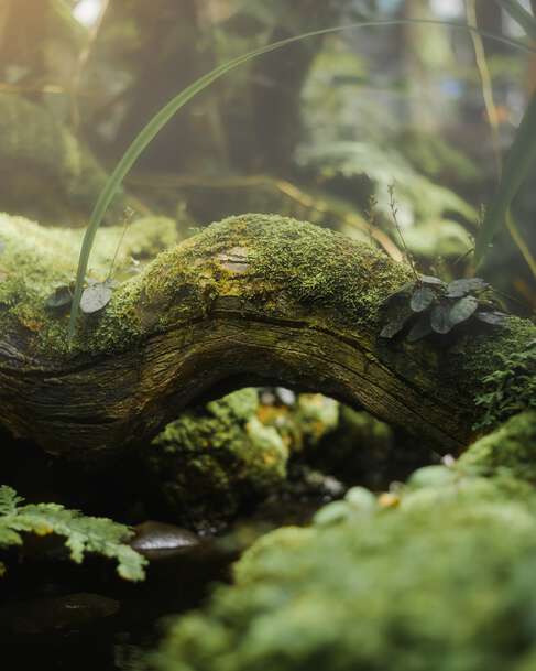 Medio ambiente y clima