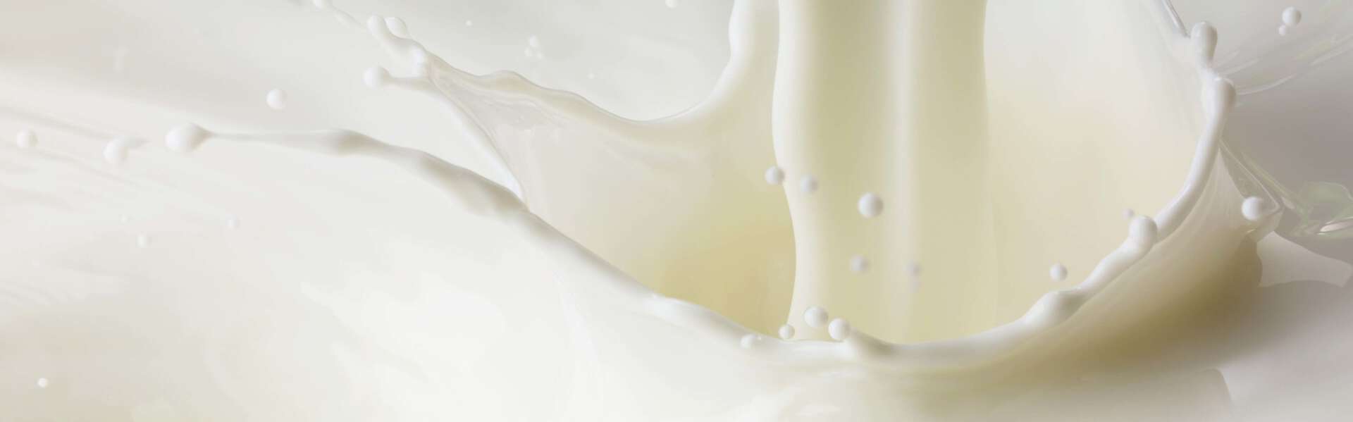 Dairy Plant