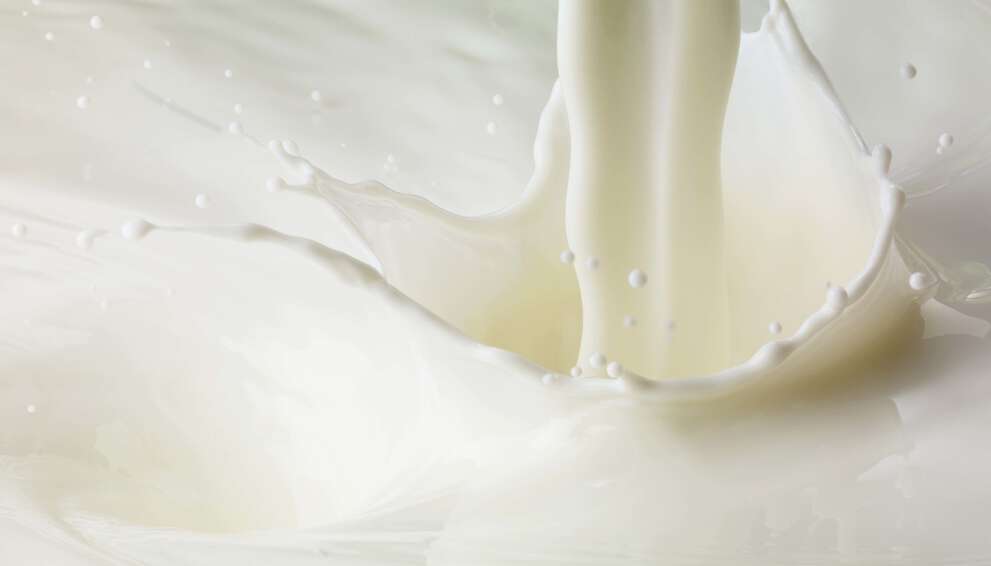 Nachhaltige Lösungen für eine effiziente Verarbeitung von Milchprodukten